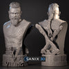 Ninja Printz - 1:8 Ragnar Lothbrok (Vikings) Fan Art Bust