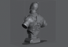 Ninja Printz - 1:8 Deadpool Fan Art Bust