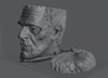 Ninja Printz - 1:4 Frankenstein Bowl Head Bust