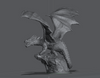 Ninja Printz - 1:12 Shadow Dragon Bust