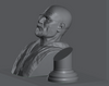 Ninja Printz - 1:8 Walter White (Breaking Bad) Fan Art Bust