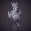 Ninja Printz - 1:8 Draugr Bust