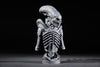 Ninja Printz - 1:8 Xenomorph (Alien Concept) Fan Art Bust