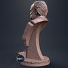 Ninja Printz - 1:8 The Godfather Fan Art Bust