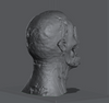 Ninja Printz - 1:4 Ghoul Head Bust