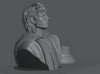 Ninja Printz - 1:8 Frodo Baggins (LoTR) Fan Art Bust