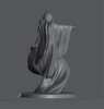 Ninja Printz - 1:12 Wraith Statue