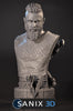 Ninja Printz - 1:8 Ragnar Lothbrok (Vikings) Fan Art Bust