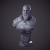 Ninja Printz - 1:8 Kratos (God of War) Fan Art Bust