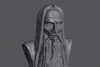 Ninja Printz - 1:8 Saruman - Stylised (LoTR) Fan Art Bust