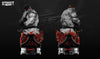 Ninja Printz - 1:8 Ryu Hoshi (Street Fighter) Fan Art Bust