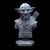 Ninja Printz - 1:8 Goblin Hofs Bust