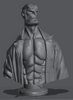Ninja Printz - 1:8 Hellboy Fan Art Bust