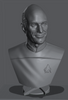 Ninja Printz - 1:8 Picard Fan Art Bust