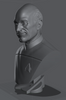 Ninja Printz - 1:8 Picard Fan Art Bust