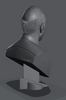 Ninja Printz - 1:8 Picard Fan Art Bust