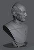 Ninja Printz - 1:8 Picard Fan Art Bust