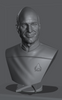 Ninja Printz - 1:8 Picard Fan Art Bust