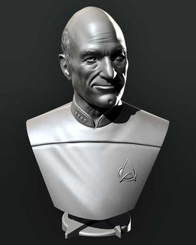 Ninja Printz - 1:8 Picard Fan Art Bust