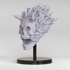 Ninja Printz - 1:8 Flame Skull Bust