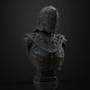 Ninja Printz - 1:8 Yuria of Londor (Dark Souls 3) Fan Art Bust