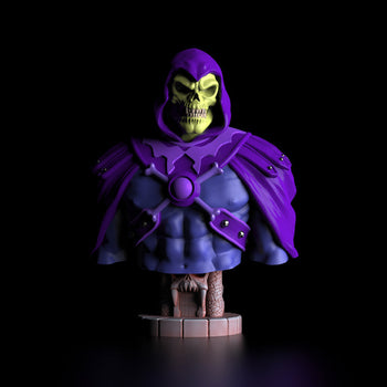 Ninja Printz - 1:8 Skeletor Fan Art Bust