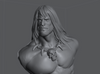 Ninja Printz - 1:8 Conan the Barbarian Bust