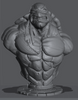 Ninja Printz - 1:8 TMNT Fan Art Bust