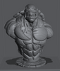 Ninja Printz - 1:8 TMNT Fan Art Bust