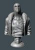 Ninja Printz - 1:8 Cobra Commander Fan Art Bust
