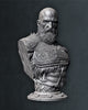 Ninja Printz - 1:8 Kratos (God of War) Fan Art Bust
