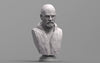 Ninja Printz - 1:8 Walter White (Breaking Bad) Fan Art Bust