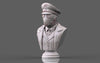 Ninja Printz - 1:8 Karl Ruprect Kroenen (Hellboy) Fan Art Bust