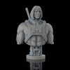 Ninja Printz - 1:8 He-Man Fan Art Bust