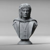 Ninja Printz - 1:8 Frodo Baggins (LoTR) Fan Art Bust