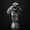 Ninja Printz - 1:8 Battle Troll (LoTR) Fan Art Bust