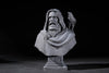 Ninja Printz - 1:8 Odin the Wanderer (Gods of War) Fan Art Bust