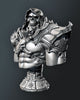 Ninja Printz - 1:8 Skeletor Fan Art Bust