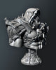 Ninja Printz - 1:8 Skeletor Fan Art Bust