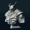 Ninja Printz - 1:8 Old King Thor Bust