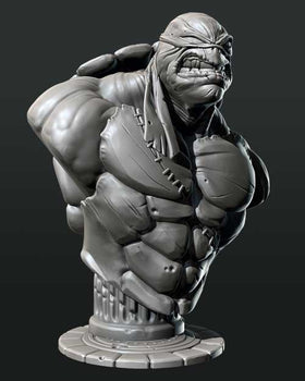 Ninja Printz - 1:8 TMNT Fan Art Bust
